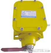 ZL-B、防撕裂裝置、ZL-A縱向撕裂保護(hù)裝置廠家直銷(xiāo)